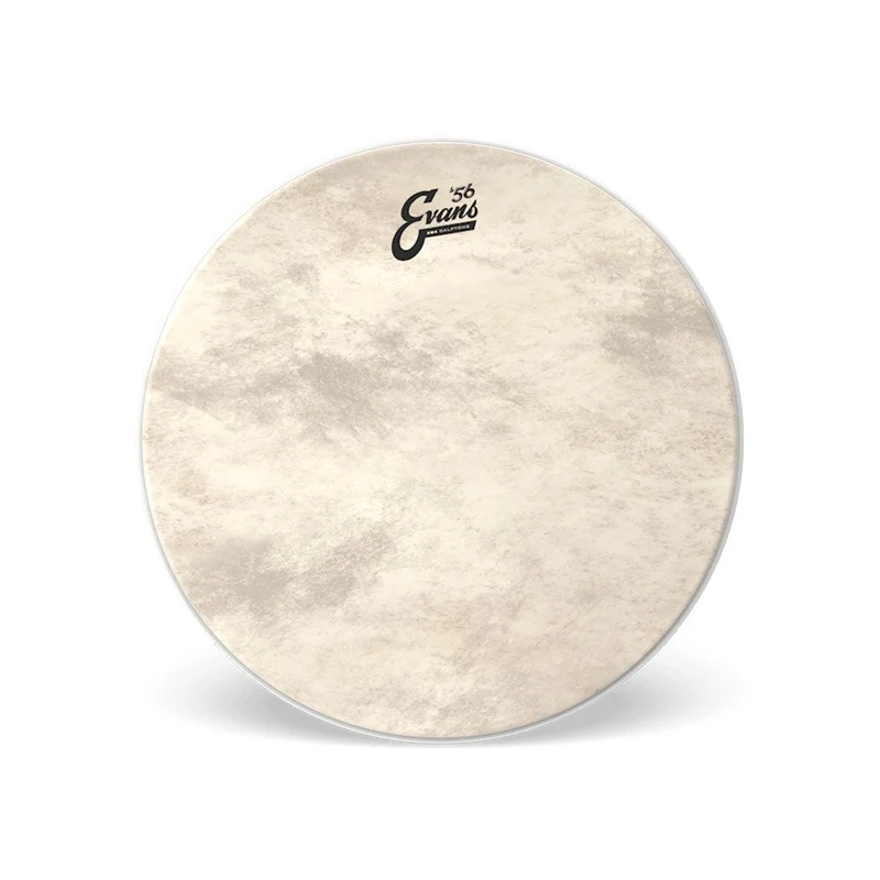 Evans Calftone EQ4 Bass Drum Head 20 Inch
