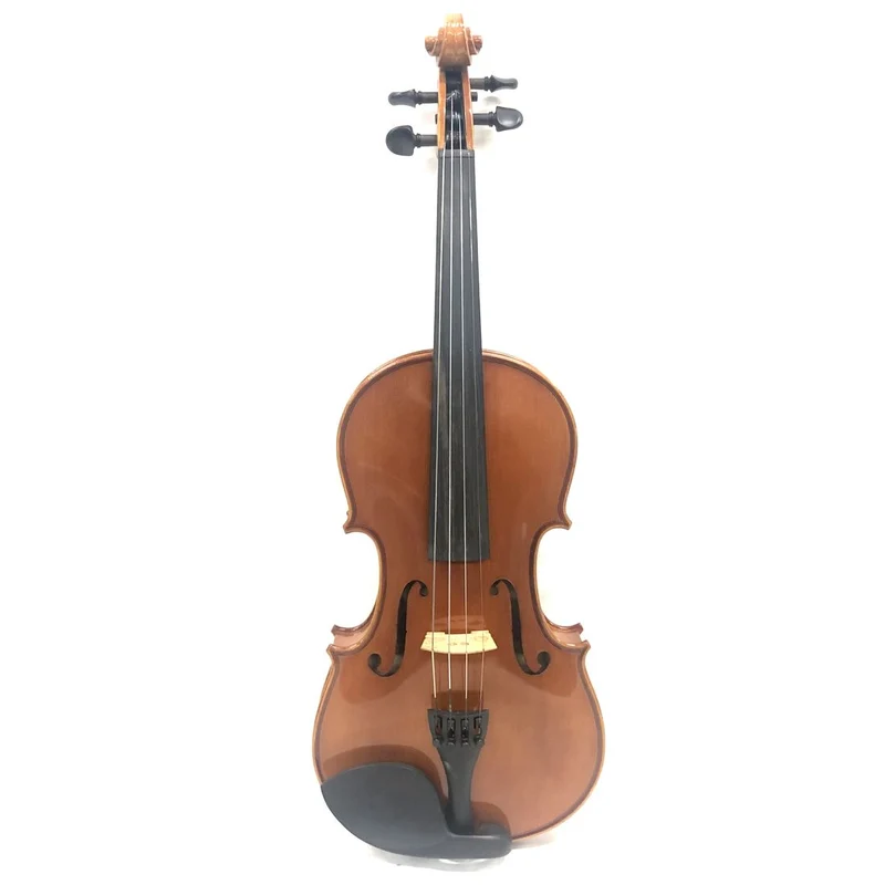 Eastman Strings VL80 4/4 Size Violin w/ Case #2445 - USED