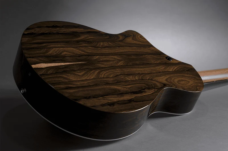 Guitare Sc-13E Special