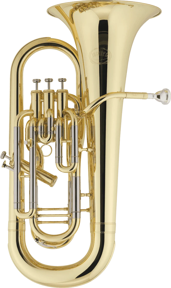 JEP1020 - Sib Verni