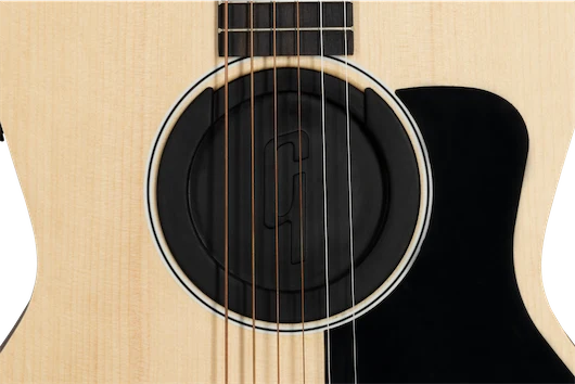 GIBSON GENERATION ACOUSTIC SOUNDHOLE COVER FEEDBACK SUPPRESSOR, STANDARD