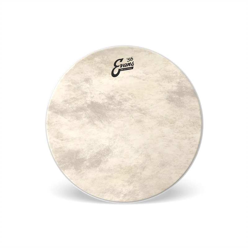 Evans Calftone EQ4 Bass Drum Head