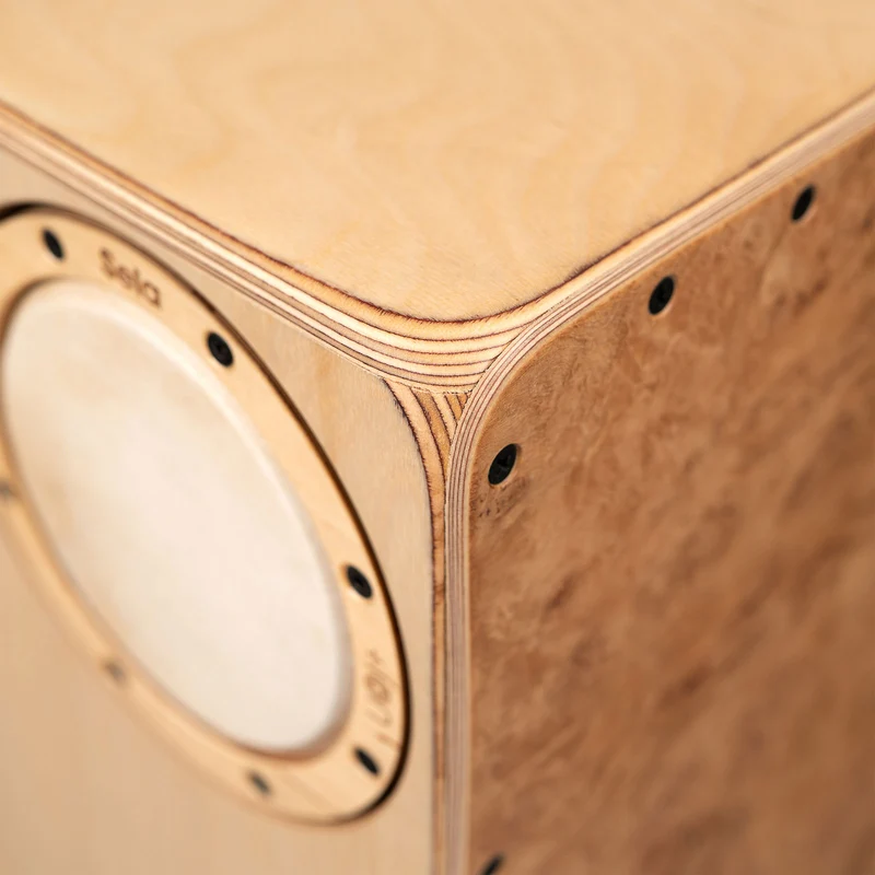 Iconic Cajon - Oak Roots