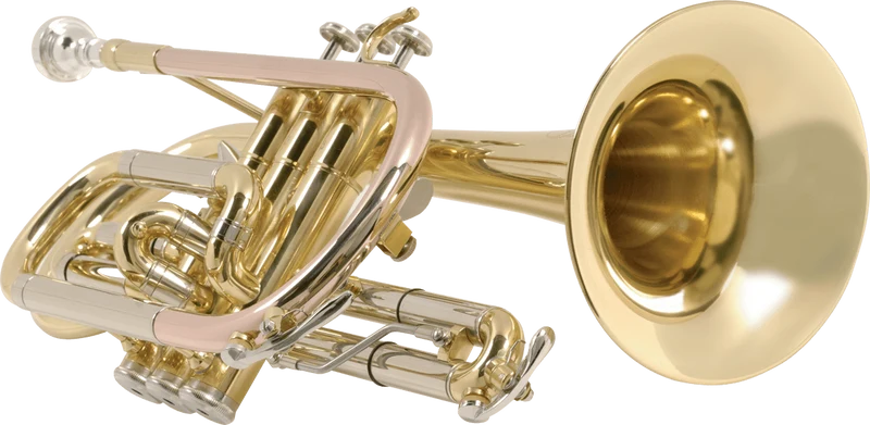 CO870-l