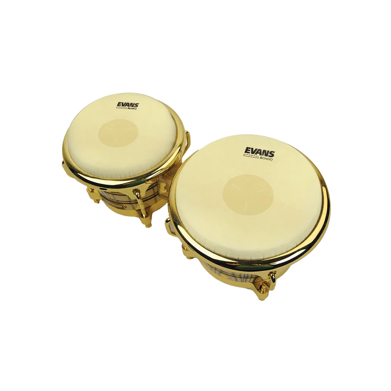 Evans 7 & 1/4'' Bongo Head