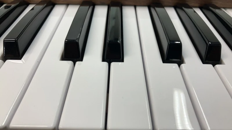 Polybrute 12 - Stock B