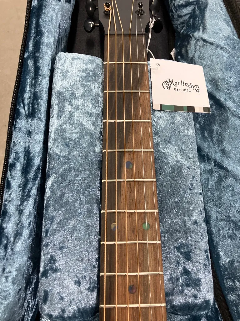 DC-10E Modern Black Satin Spruce/Sapele - Stock B