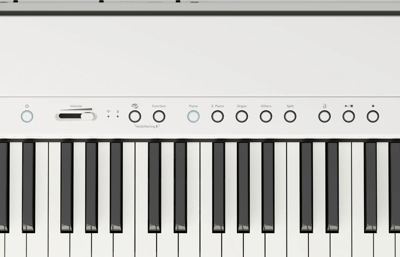 FP-40 Blanc