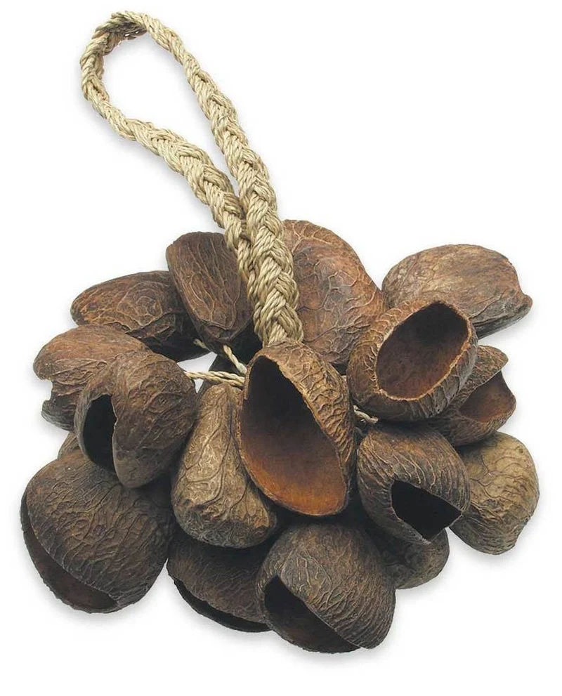 Seed Shell Shaker Toca
