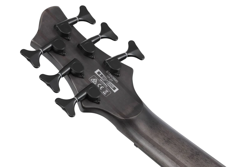 BTB806MS-TGF Transparent Gray Flat Bass Workshop