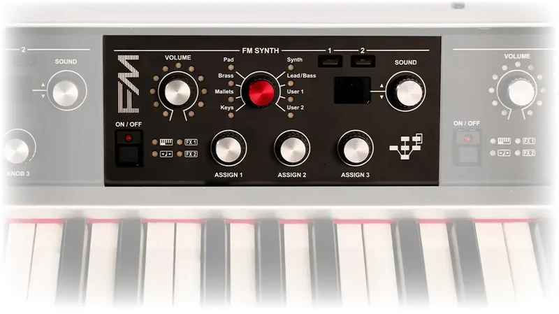 Module FM