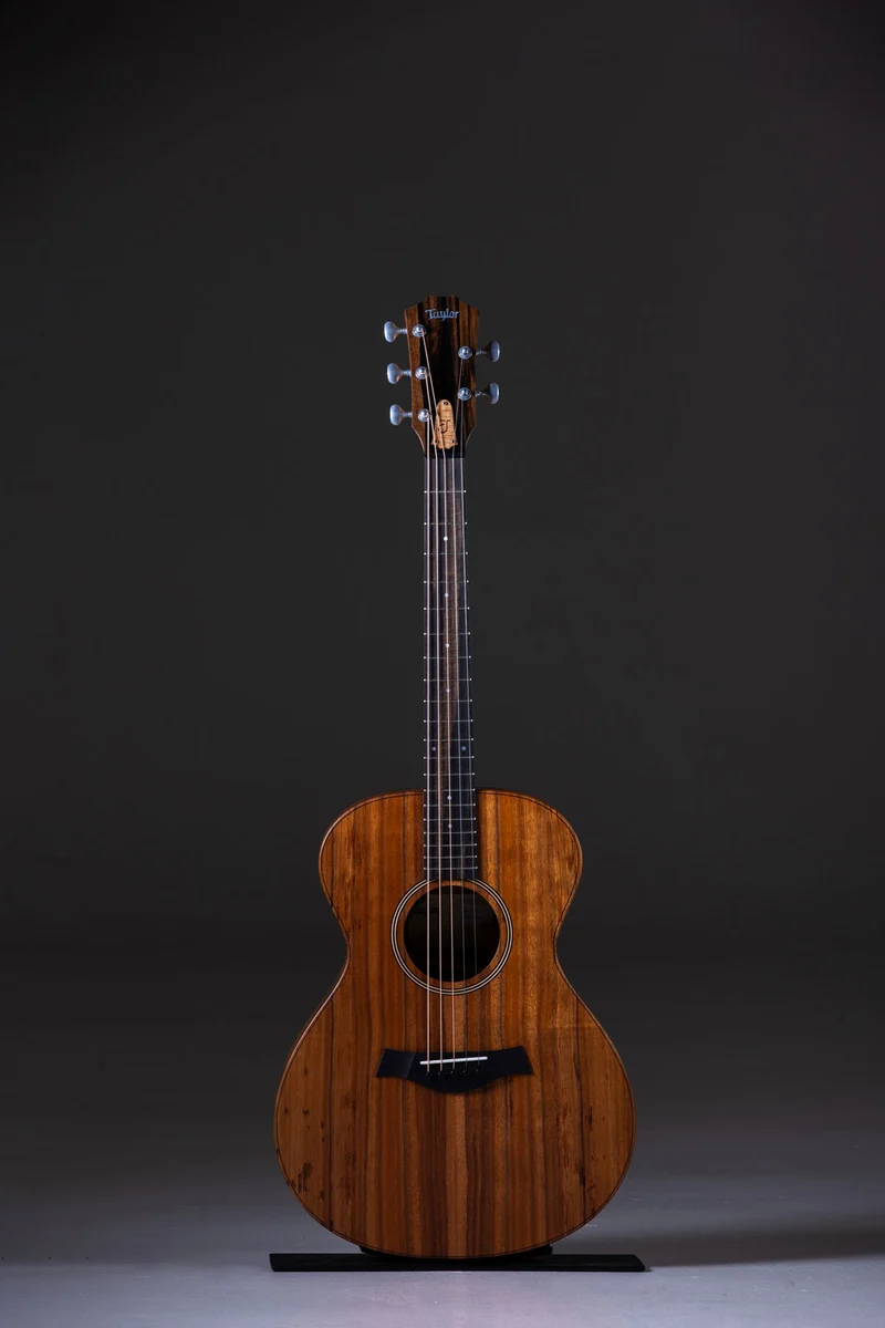 Jacob Collier Signature Model JCSM 5-string Natural Grand Concert