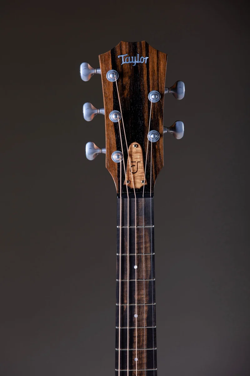 Jacob Collier Signature Model JCSM 5-string Natural Grand Concert
