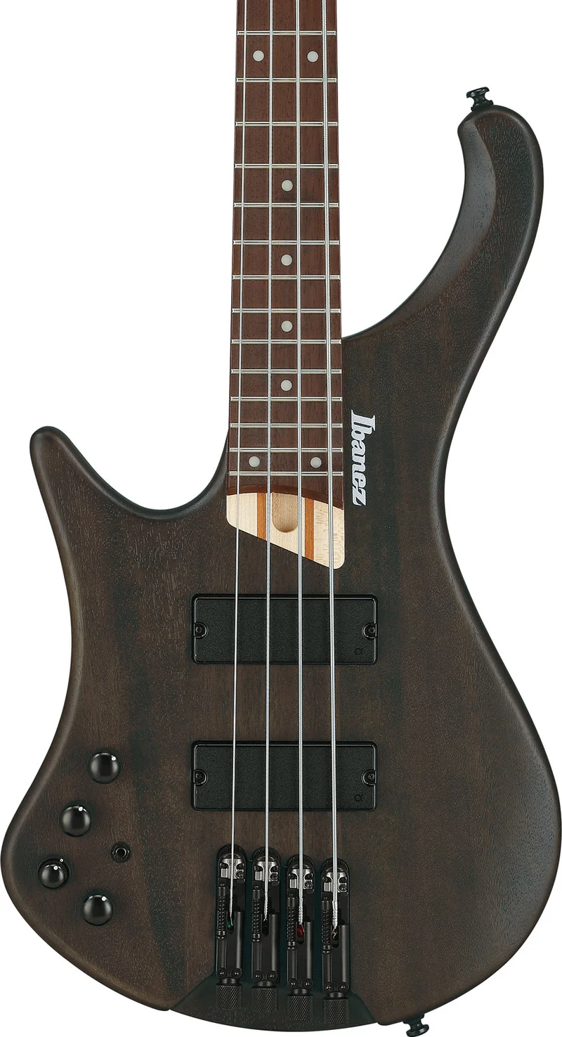 EHB6L Bass Workshop LTD Edition Gaucher Walnut Flat