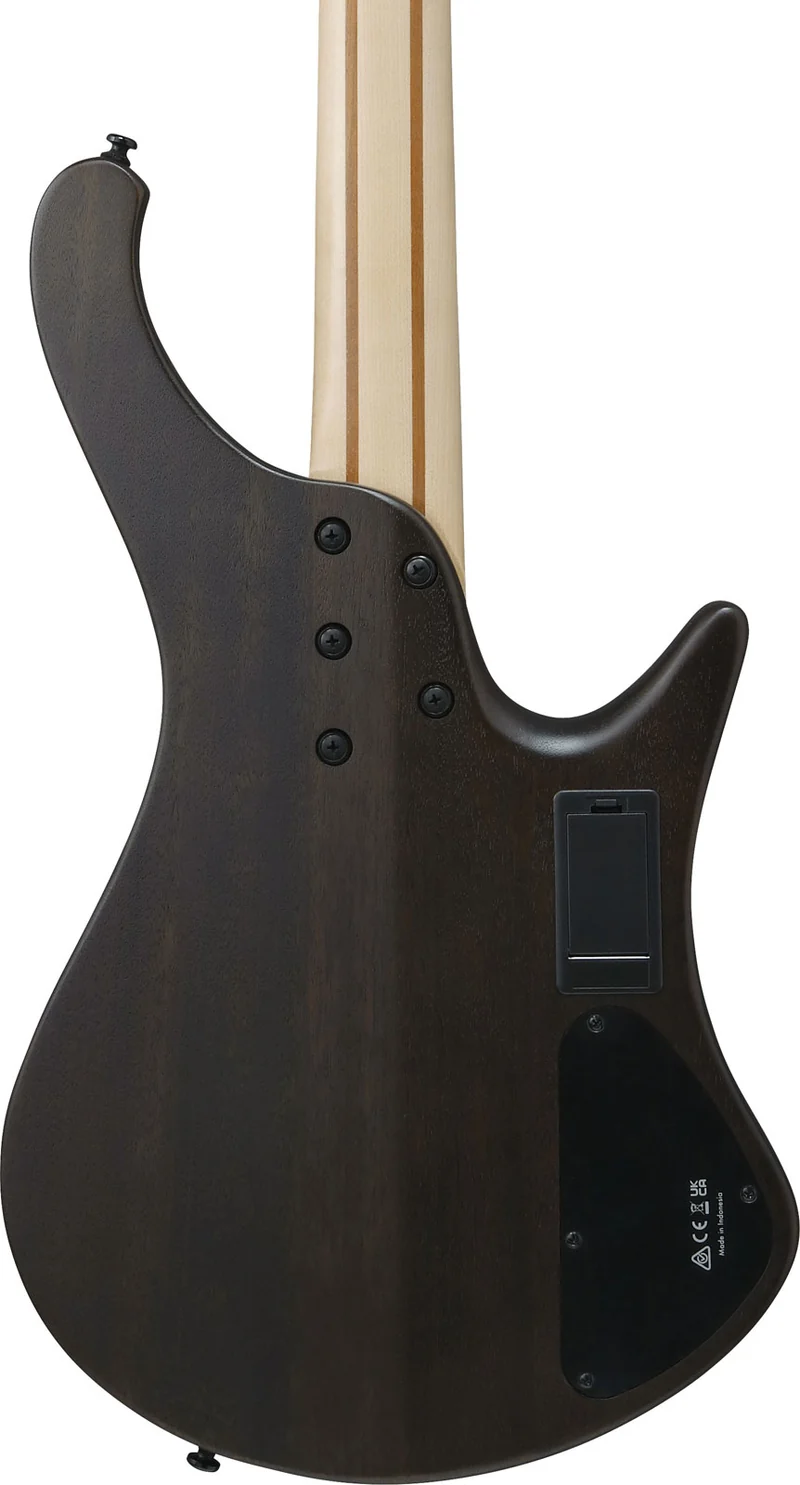 EHB6L Bass Workshop LTD Edition Gaucher Walnut Flat