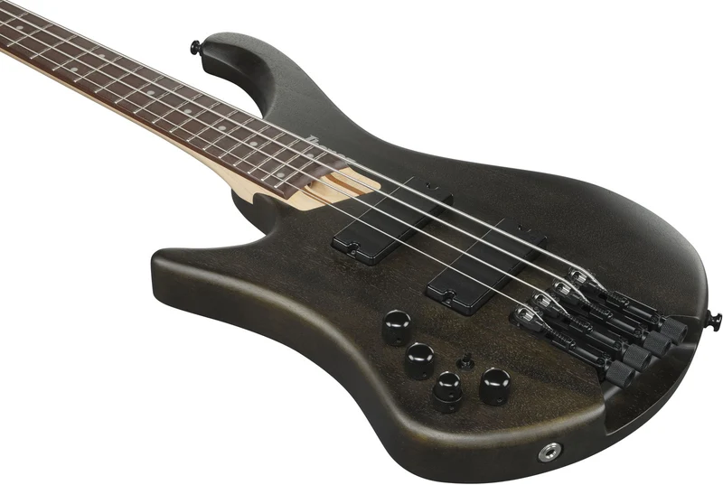 EHB6L Bass Workshop LTD Edition Gaucher Walnut Flat