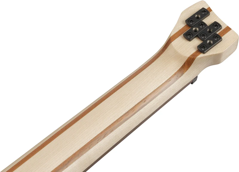 EHB6L Bass Workshop LTD Edition Gaucher Walnut Flat