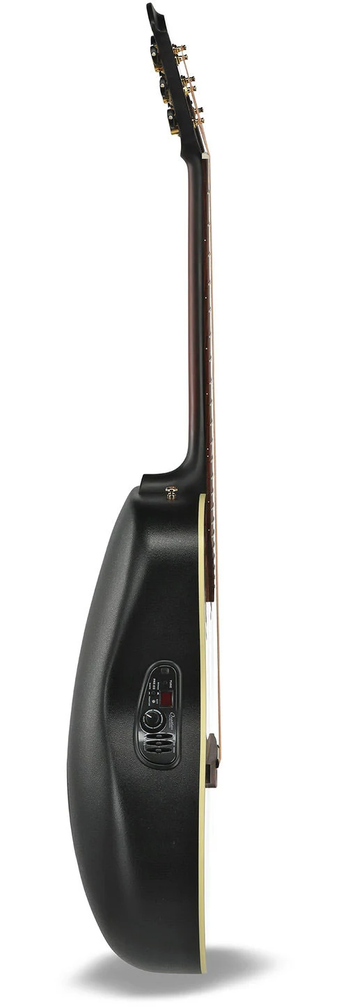 Pro Series Elite Deep Bowl 12 cordes Sunburst 1758-1-G