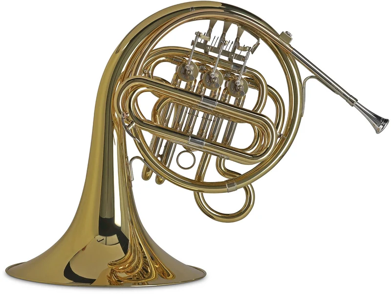 Ambition HR650F Fa Verni (Enfant)