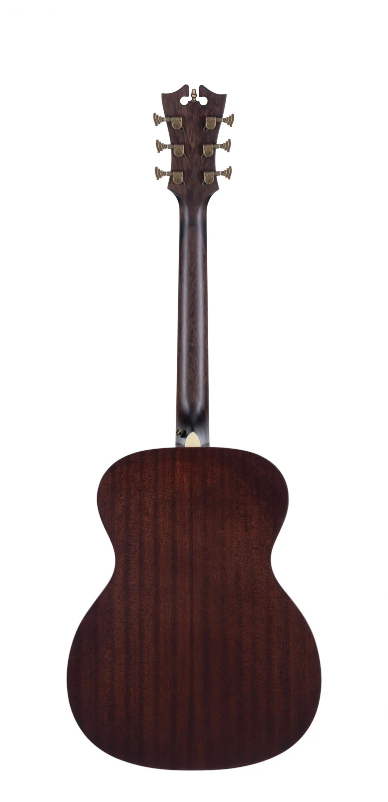 Premier Tammany Aged Burst