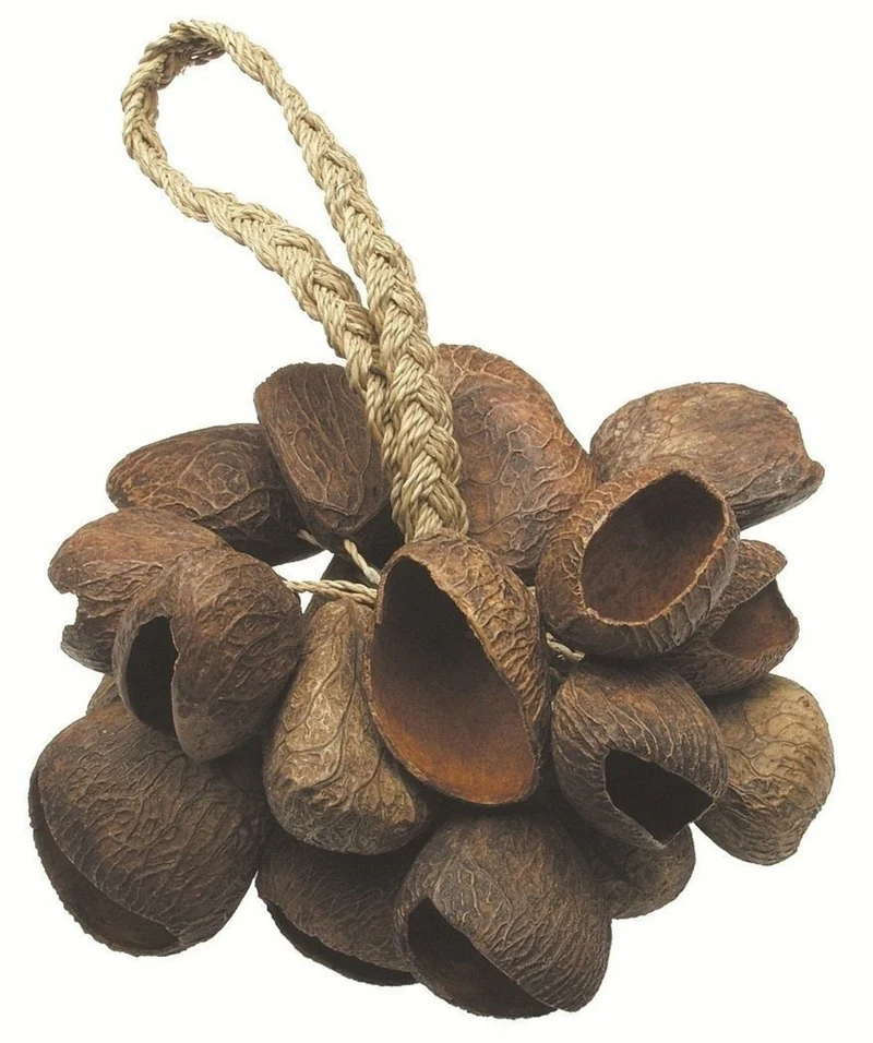 Shaker Seed Shell - T-SS