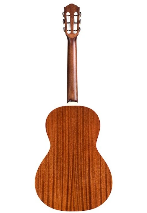 Memoir P240 12 Fret Parlor