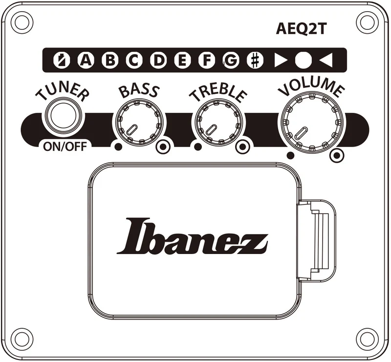 AEWC16QATKH Transparent Black Sunburst