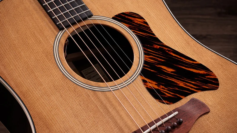Gold Label 710e Natural Dreadnought