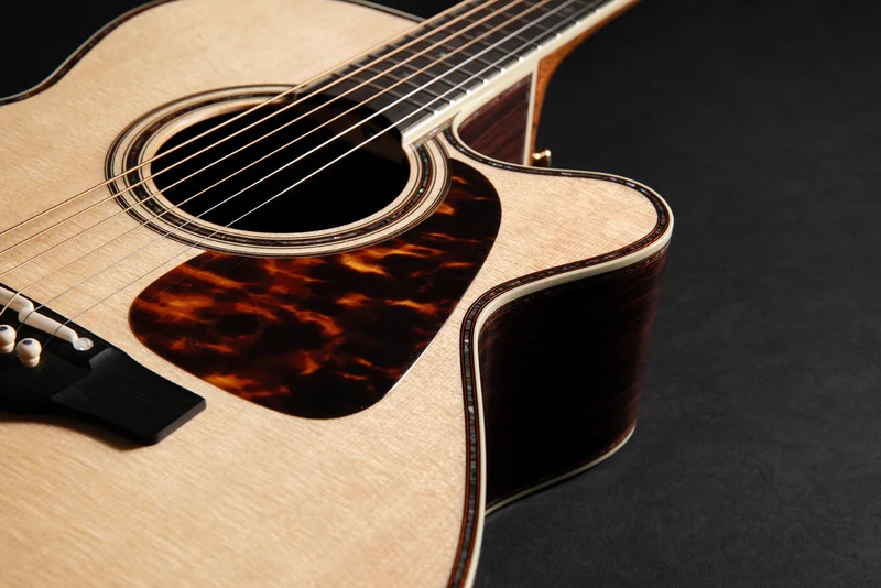 Nex Cutaway Electro P10NC
