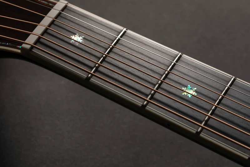 Nex Cutaway Electro P10NC
