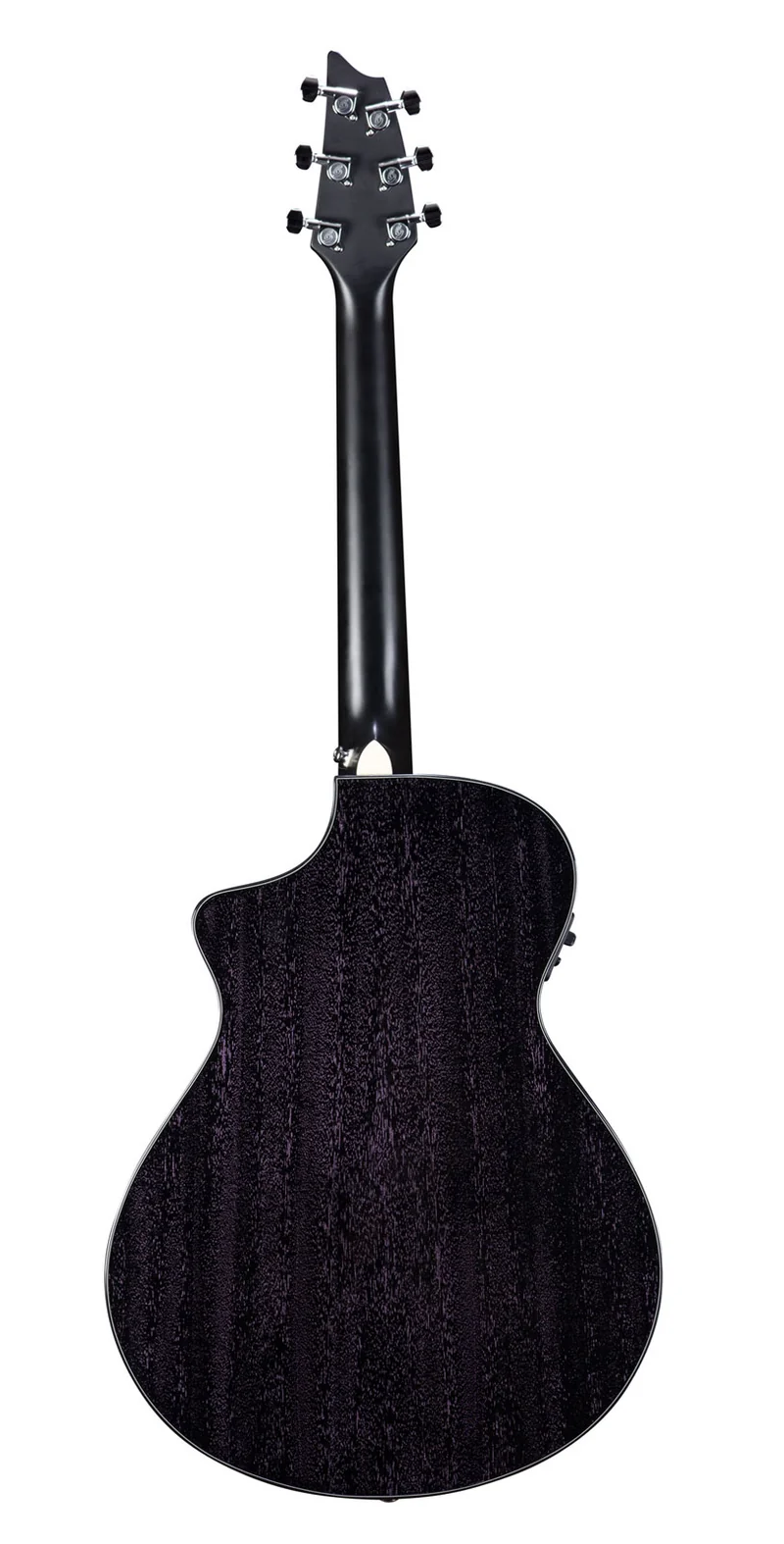 Rainforest S Concert Orchid Ce