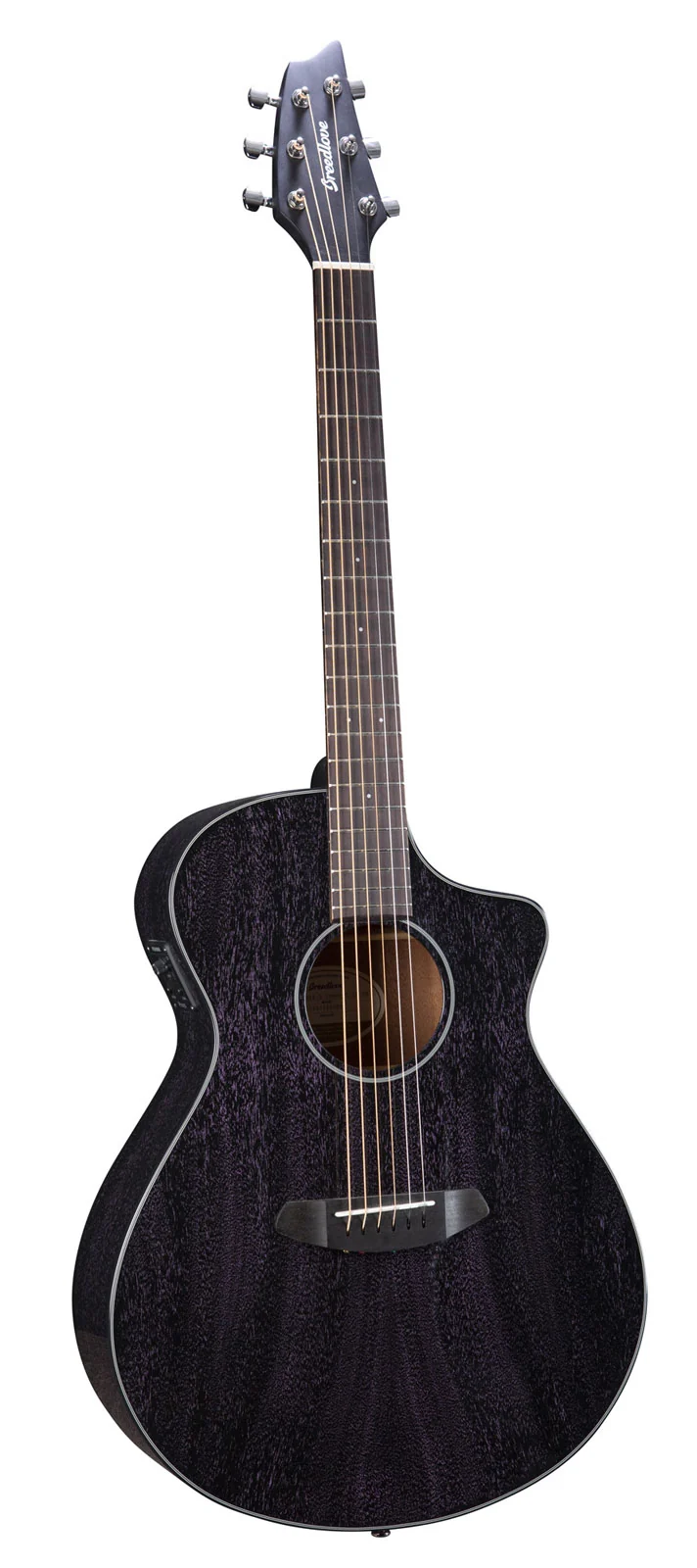 Rainforest S Concert Orchid Ce