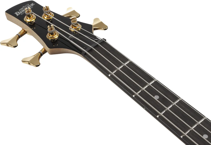 GSR200PC Transparent Pale Black Burst