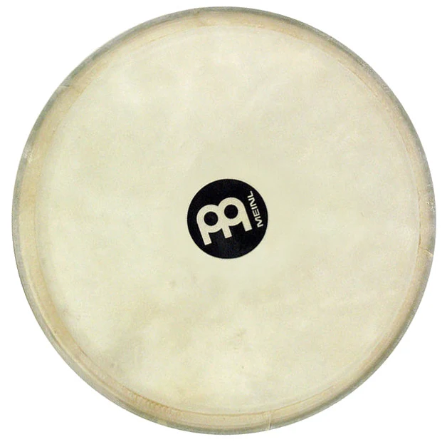 Peau TSG01 12 Pour Djembe DJF3-DJW3