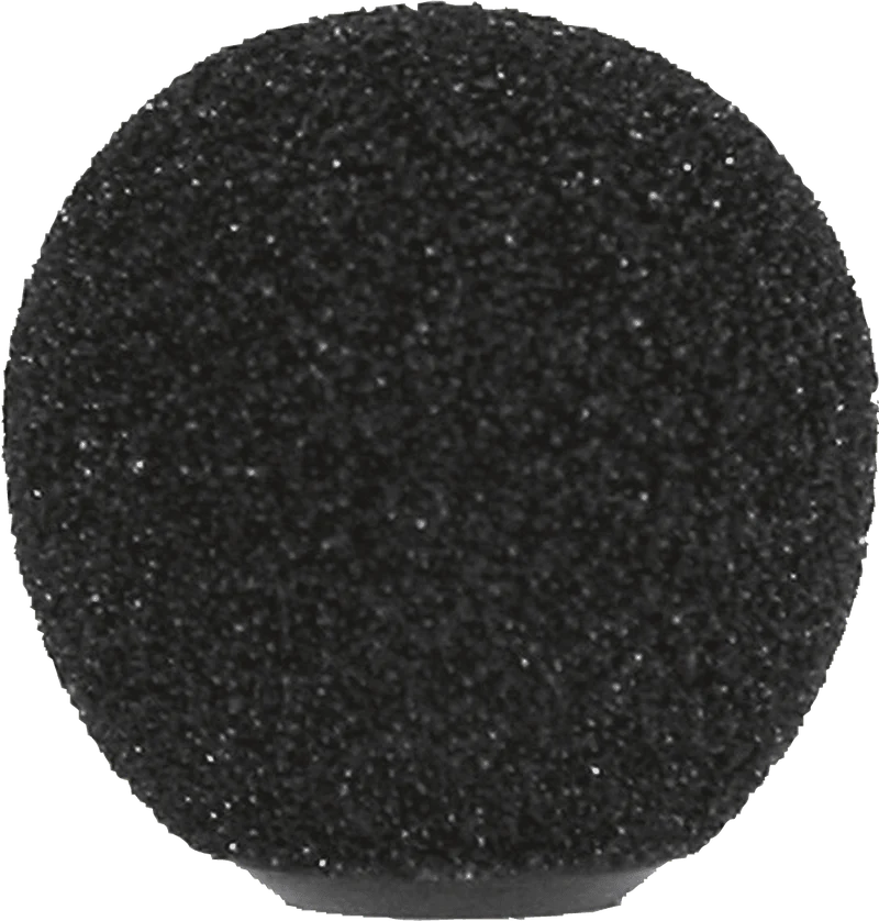 RPM316