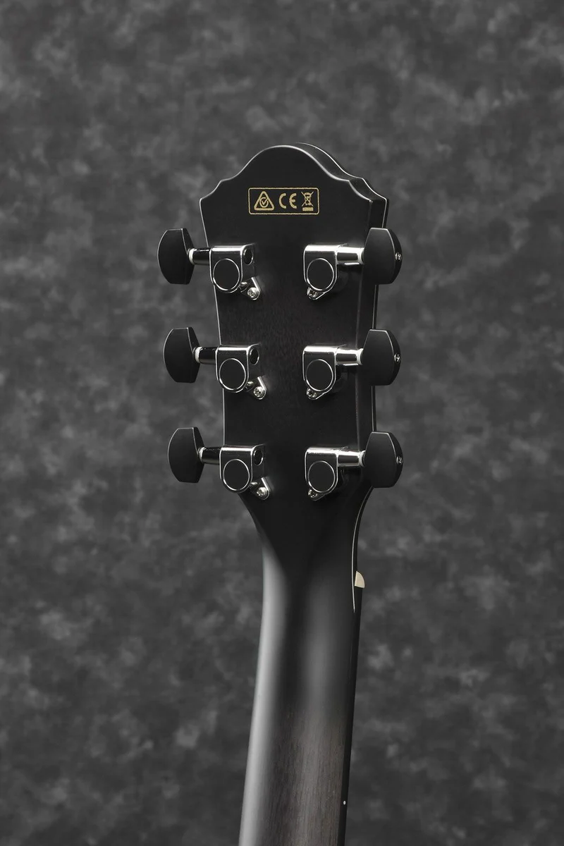 AEWC400-TKS Transparent Black Sunburst