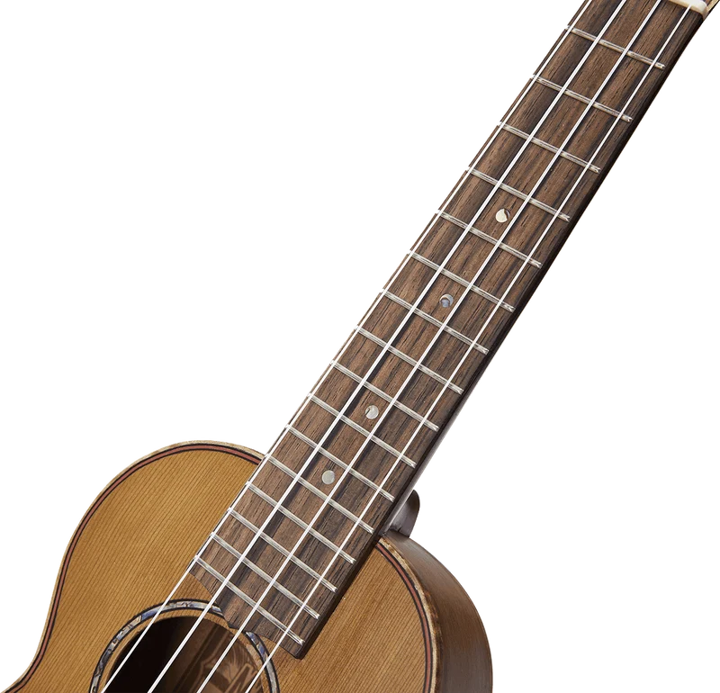 MAHALO MM1 Série Master – Ukulélé Soprano avec housse