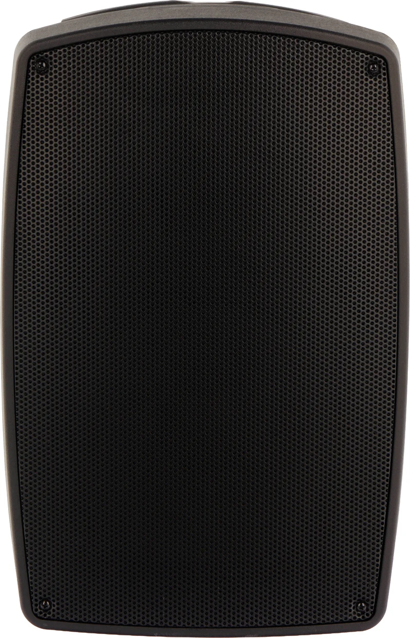 ALGAM AUDIO TR12-BT – Enceinte Bluetooth portable 120 W avec 2 micros sans fil UHF
