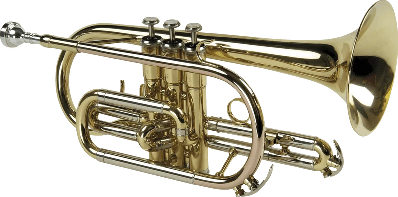 CORNET SIb ANNEAUX LAITON VERNI SML CO50 - STOCK B