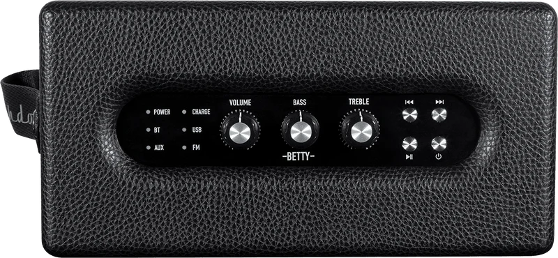 ENCEINTE BLUETOOTH NOIRE 2 X 20W ASHDOWN BETTY