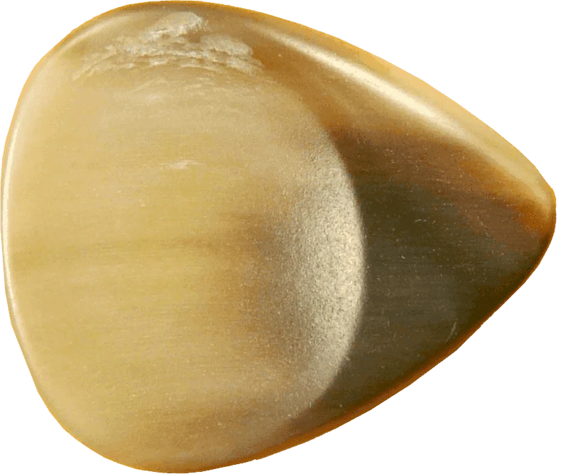 Médiator Dugain Super Dug Corne