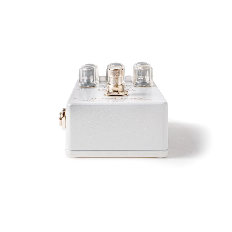 Pédale Joshua Ambient Echo MXR M309
