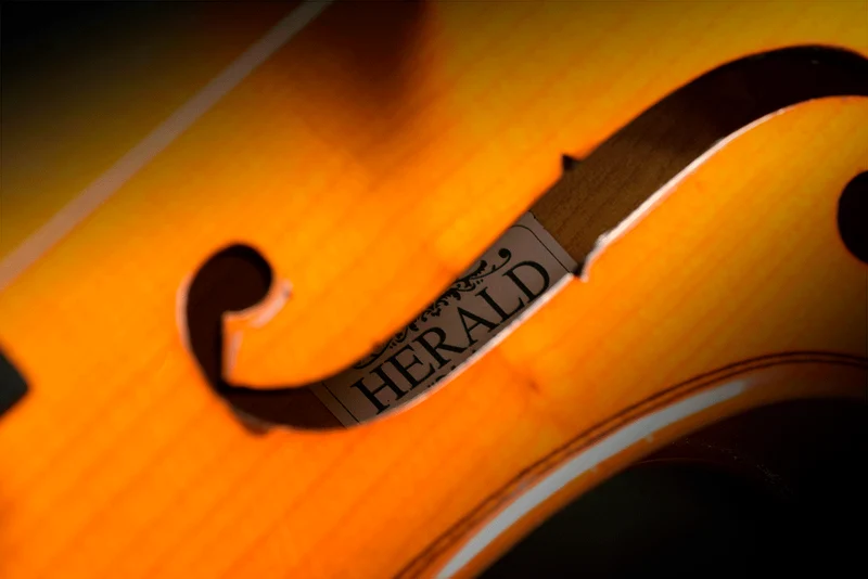 VIOLON 4/4 HERALD TOUT MASSIF TOUCHE EBENE AS144-E