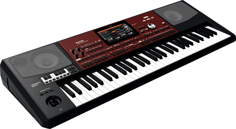 CLAVIER ARRANGEUR 61 NOTES KORG PA700 ORIENTAL