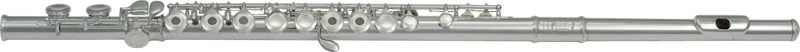 FLUTE TRAVERSIERE SOPRANO UT PLATEAUX CREUX EN LIGNE SML FL300R