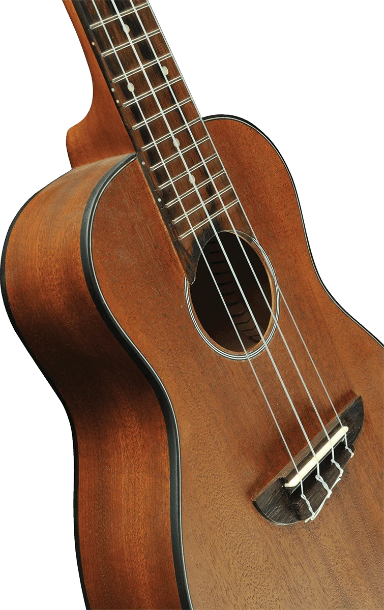 UKULELE CONCERT ACAJOU - pack housse accessoires EKO DUO-CONCERTO