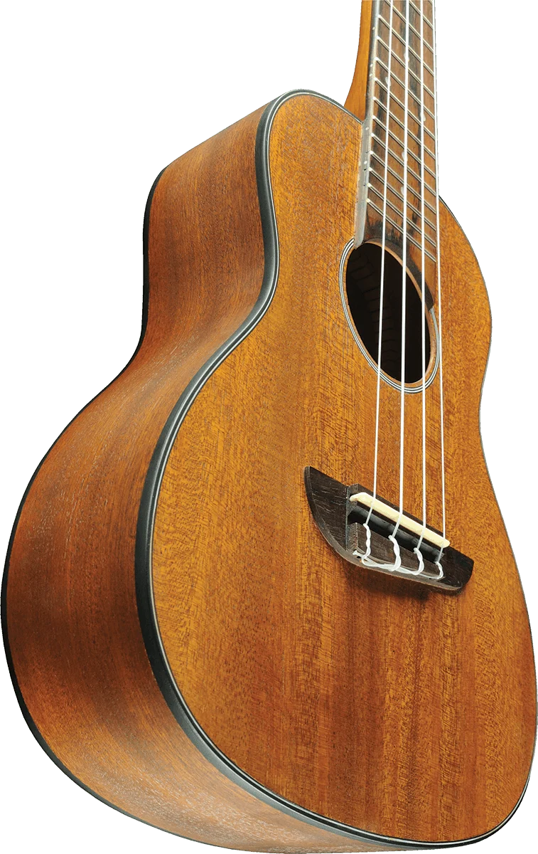 UKULELE CONCERT ACAJOU - pack housse accessoires EKO DUO-CONCERTO
