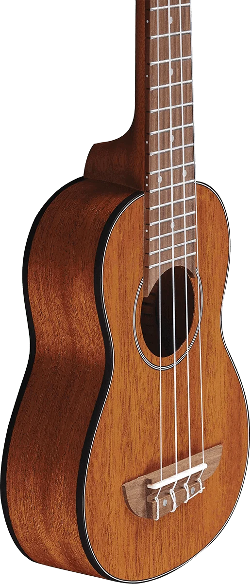 UKULELE SOPRANO EKO ACAJOU - pack housse accessoires