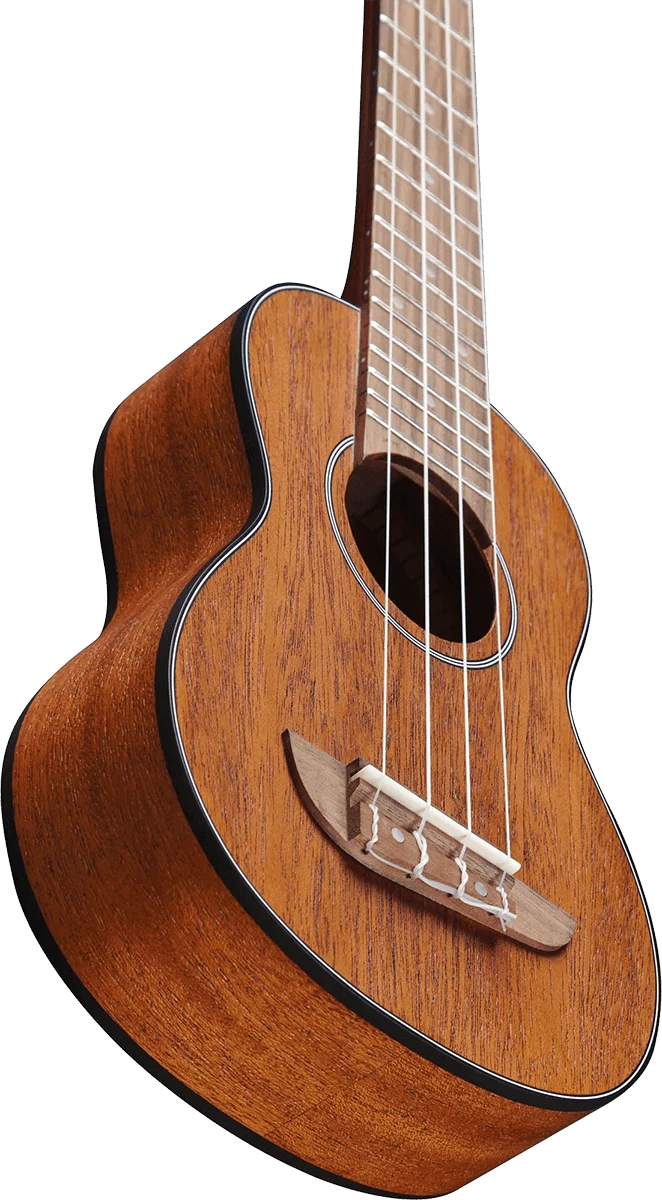 UKULELE SOPRANO EKO ACAJOU - pack housse accessoires