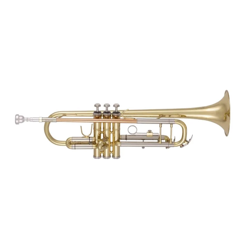 Bach 200 Series Student Trumpet Outfit in Bb (Lacquer) inc Case